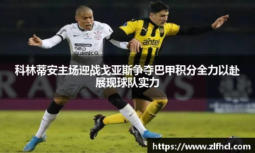 39153.k1体育十年品牌