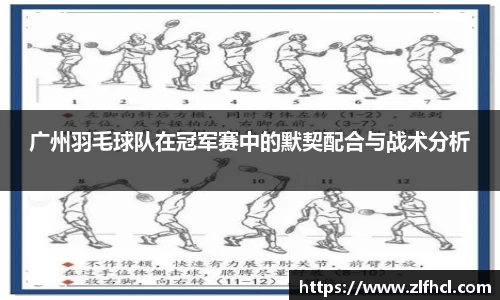 39153.k1体育十年品牌